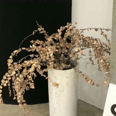 兽设赛博风格设计FurryQQ群